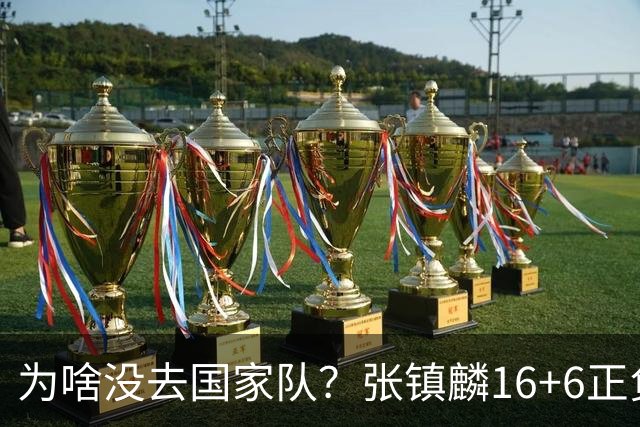 为啥没去国家队？张镇麟16+6正负值全场最高 隔扣深圳大外援点燃现场