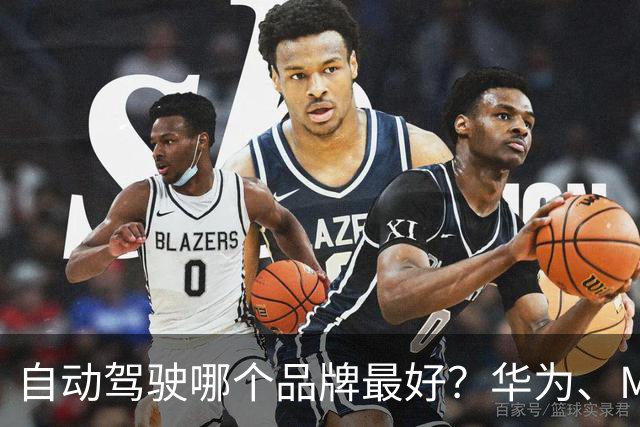 自动驾驶哪个品牌最好？华为、Momenta、地平线、卓驭实力大盘点